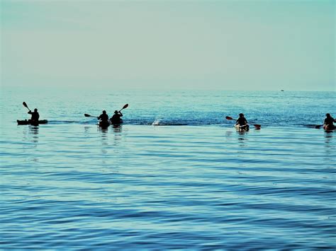 Swimming Outside 的图像结果