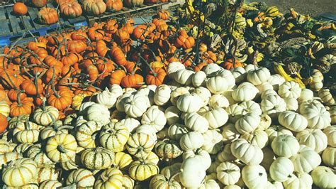 NASHVILLE WEST SHOPPING CENTER - Nashville TN - Hours, Directions, Reviews - Loc8NearMe