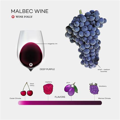 Is Malbec Sweet