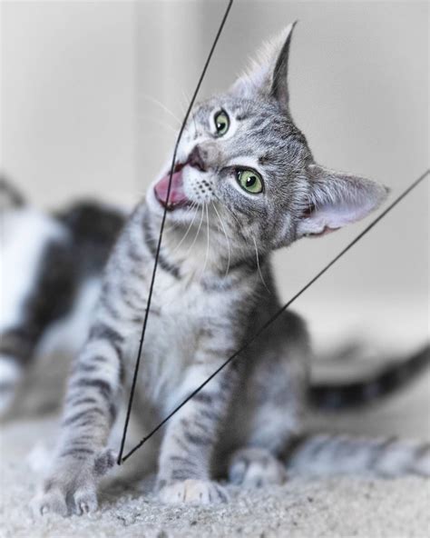 Bryce Eilenberg Nudes