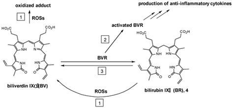 An Alternative to Biliverdin, Mesobiliverdin IXα and Mesobiliverdin ...