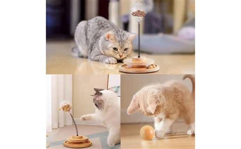 Buy Shopipistic Cat Treat Dispenser, Interactive Brain Stimulating ...