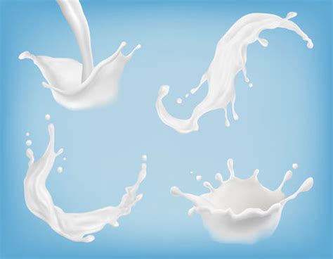Soy vs Almond vs Cow milk; Which one is the best for you?