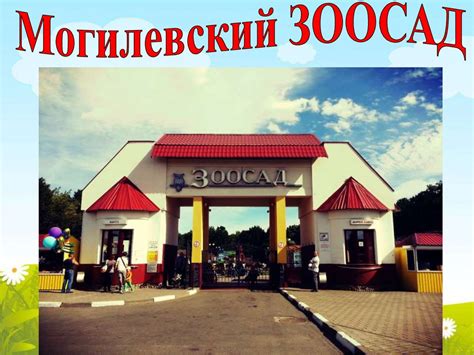 Могилевский зоосад - презентация онлайн