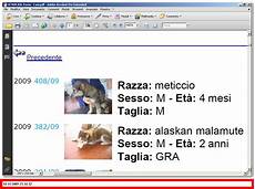 asl pavia it cani dotati di straordinari poteri offresi per asl pavia it cani dotati di straordinari poteri offresi per