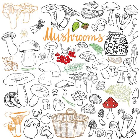 Hand Drawn Doodles Vector Design Images, Mushrooms Sketch Doodles Hand ...