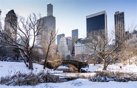 New York in December | Holiday lights & cozy thrills