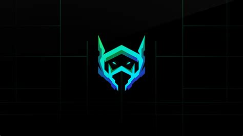 Image result for OBS Anima Layout