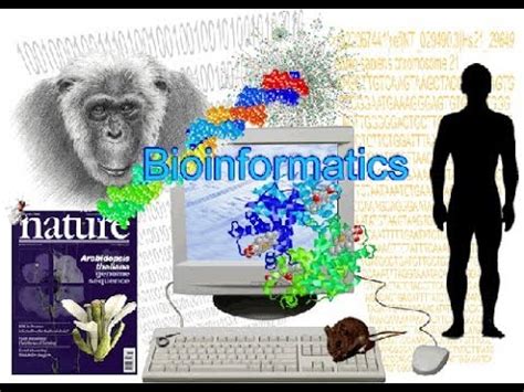 Bioinformatics part 1 What is Bioinformatics Video Lecture - NEET