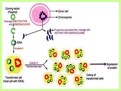 Biotech Processes 的图像结果