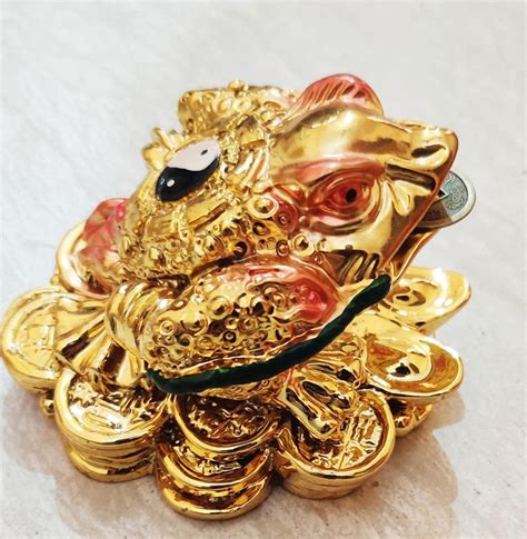 Buy Money Vastu Fengshui Stone Gift Product Collection FENG Shui King ...