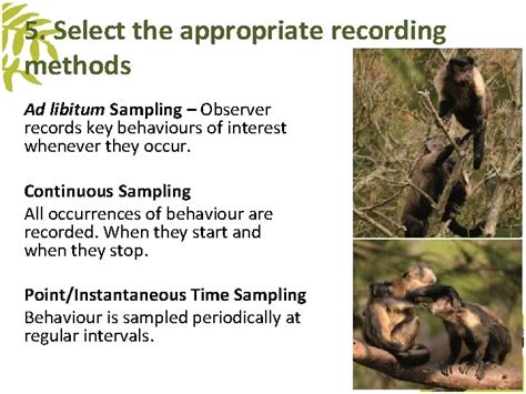 Image result for Animal Behaviour Continuous Sampling