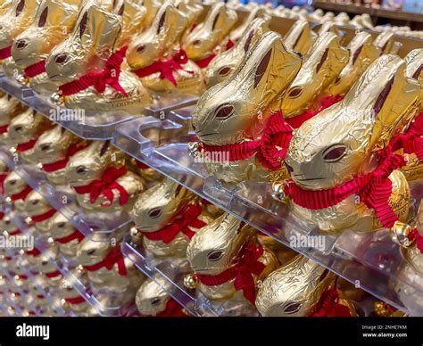 Lindt brand Easter bunnies, chocolate gold bunnies, supermarket shelf ...