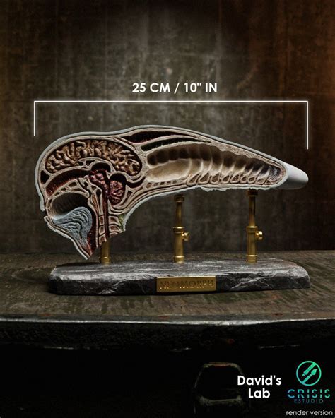 Image result for Alien Neomorph Meets David