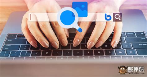 Bing 图片识别 的图像结果