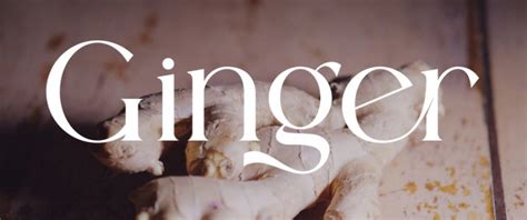 Ginger Elegant Ligature Serif Typeface - Themess
