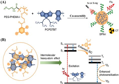 Organic Nanoplatforms for Iodinated Contrast Media in CT Imaging
