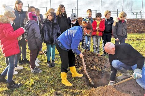 Plantation d'un verger au Buston (Limelette) - L'Avenir