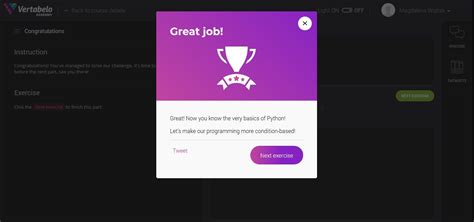 Python Basics Course 的图像结果