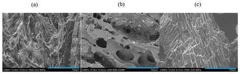 Efficiency of a New Biochar Made from Agave Bagasse to Remove ...