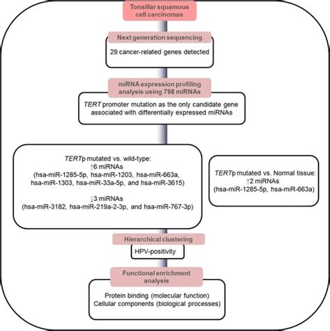 Dysregulated microRNA Expression Relevant to TERT Promoter Mutations in ...