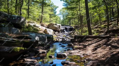 Image result for Stream High Definition