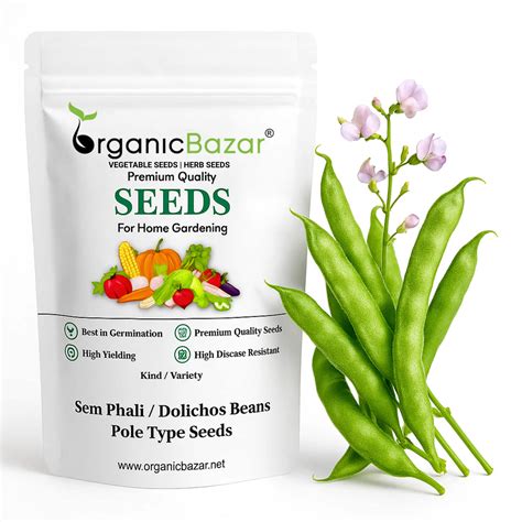 Sem Phali / Dolichos Beans Pole Type Seeds (सेम फली के बीज) -Organicbazar