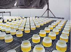 produzione candele le fardellatrici smi confezionano le candele ser produzione candele le fardellatrici smi confezionano le candele ser