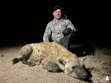 Spotted Hyena Hunting South Africa | AfricaHunting.com