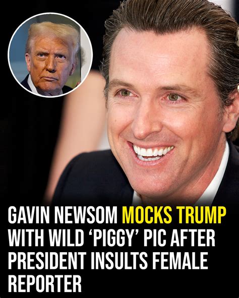 Gavin Newsom mocks Trump with wild ‘piggy’ pic after president insults ...