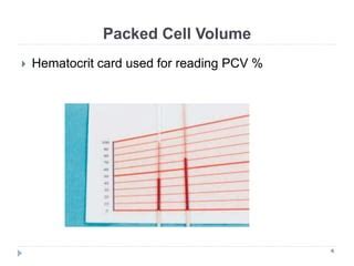 Image result for Sun Java Computer