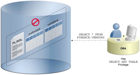 Oracle Database Vault 的图像结果