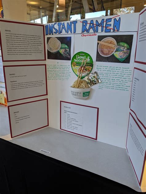 Image result for Science Projects 8th