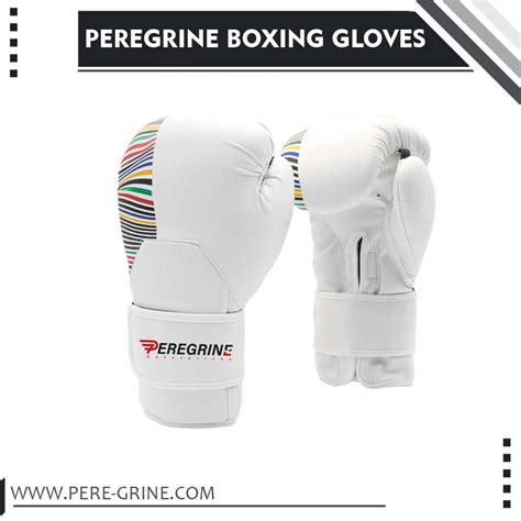 Boxing gloves for kids - Peregrine Enterprises