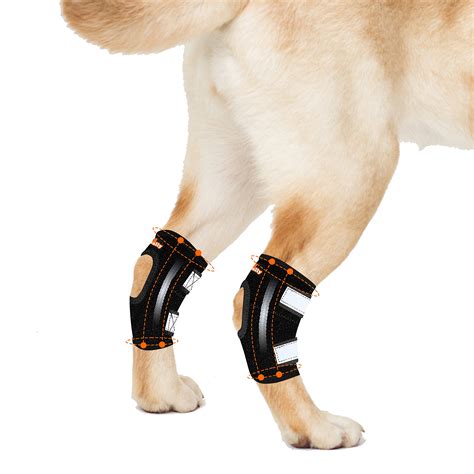 Buy NeoAlly® - Rear Leg Hock Brace with Metal Spring Strips, Dog Leg ...