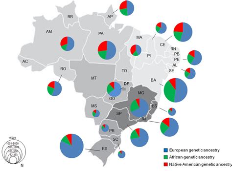 Genetic ancestry of the Brazilian population : r/MapPorn