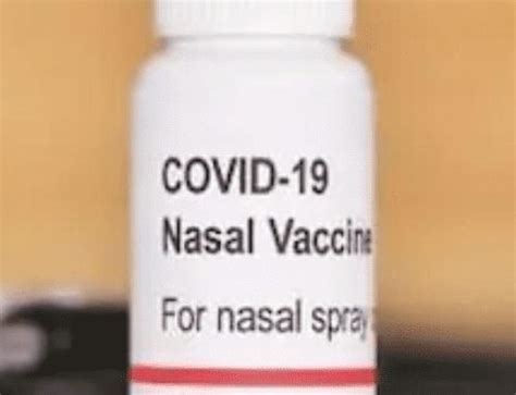 Innovative Nasal COVID-19 Vaccine by Indian Immunologicals Turns Out To ...