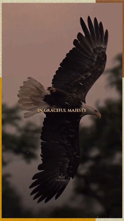 Image result for Valorgi Project