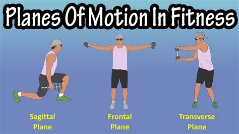 Image result for Sporting Examples of Movement