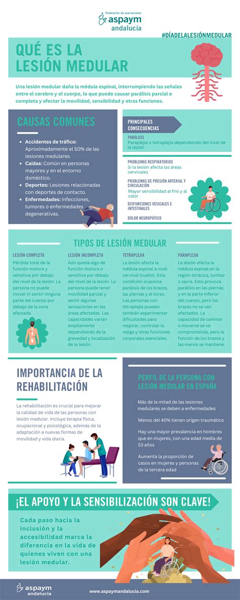Lesiones Medulares Incapacidad Permanente Por Lesiones Medulares