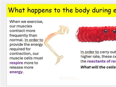 Exercise Science 的图像结果