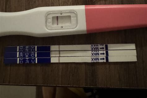took plan b on aug 14, bleeding a week later and then no period in sep and oct : r/PlanBs