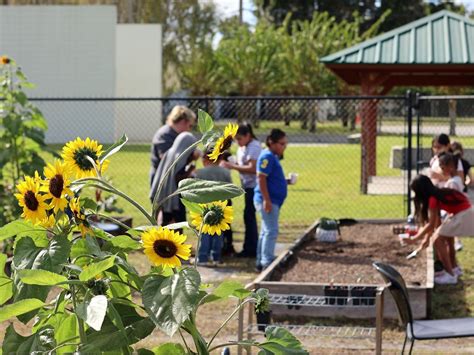 Family Programs | Bartow, FL