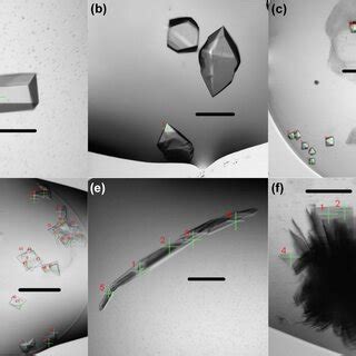 Image result for Protein Crystallization System