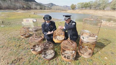 沂南警方放生百余只国家二级保护鸟类 | 极目新闻