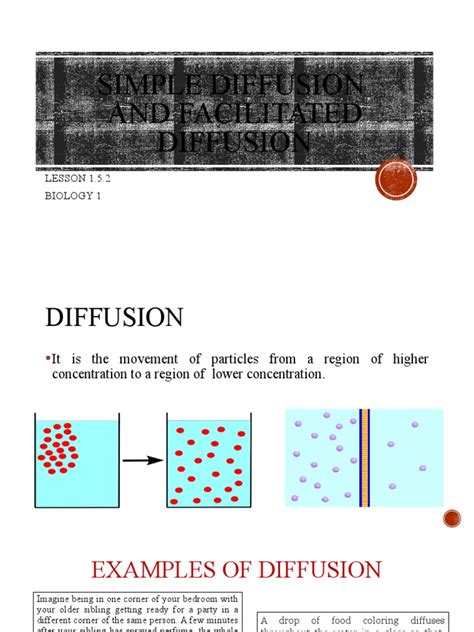 Image result for Simple Diffusion Cell Membrane