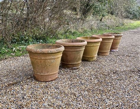 Italian Terracotta Planters
