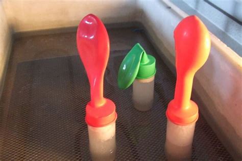 Image result for Science Project 10th Class