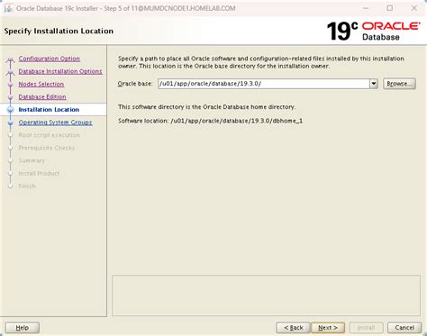 Oracle 19c Database Creation on RHEL 8.10 - LabMice Documentation