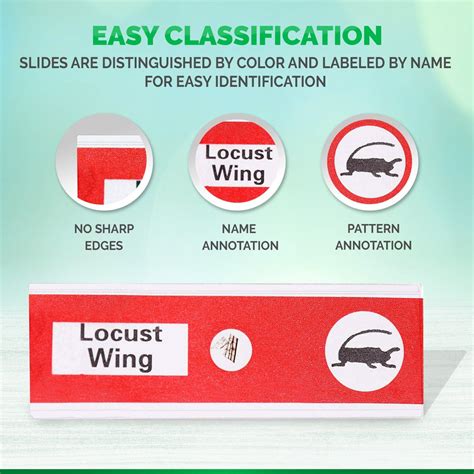 Color Code Microscope Slides 的图像结果